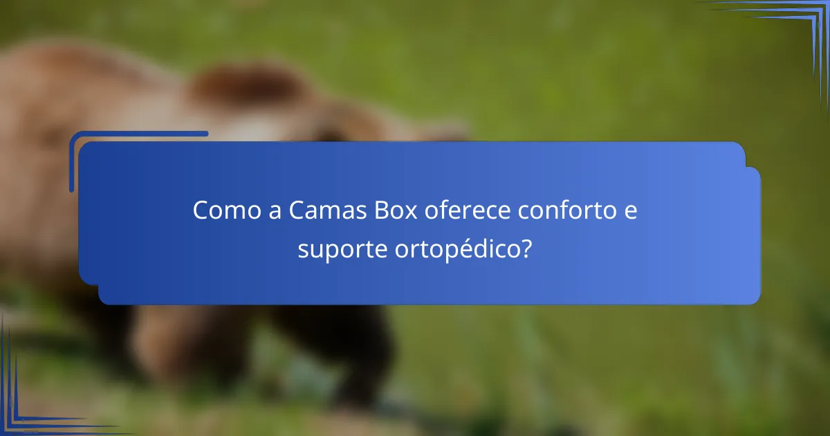 Como a Camas Box oferece conforto e suporte ortopédico?