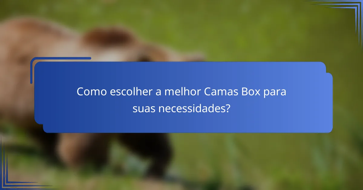 Como escolher a melhor Camas Box para suas necessidades?