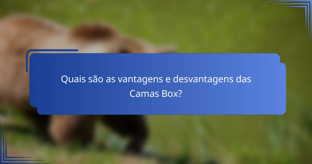Quais são as vantagens e desvantagens das Camas Box?