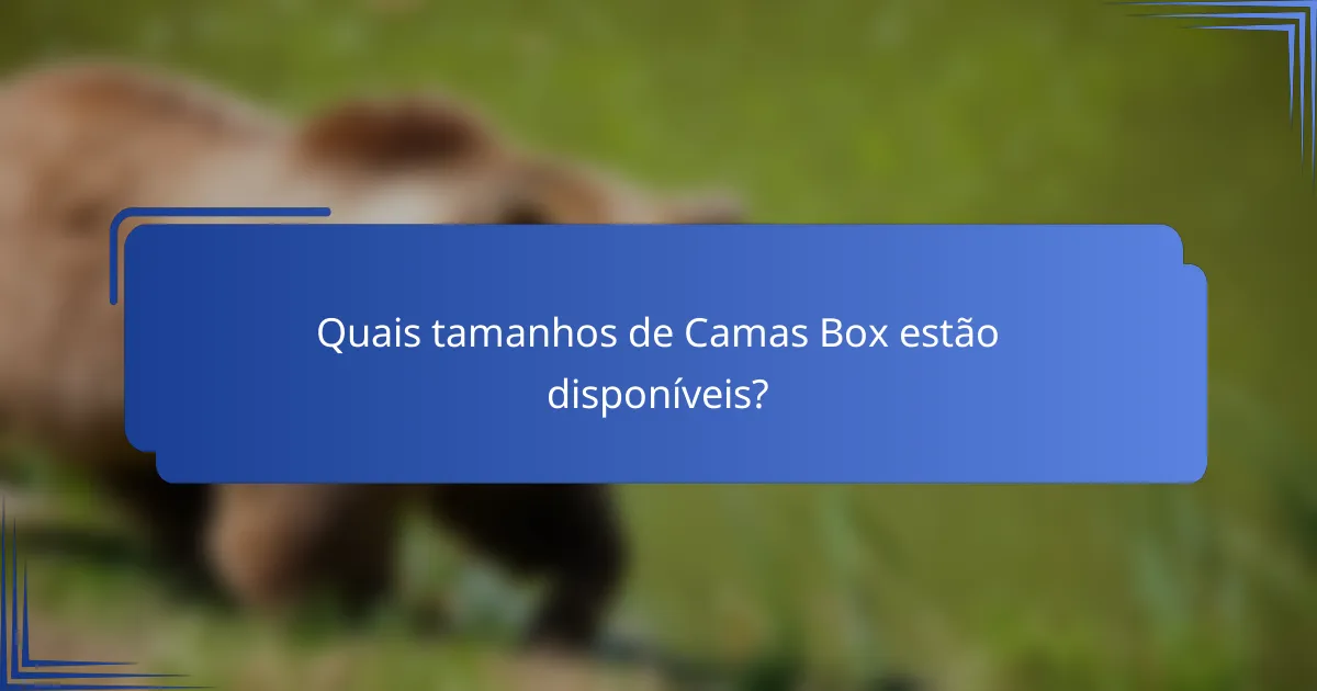 Quais tamanhos de Camas Box estão disponíveis?